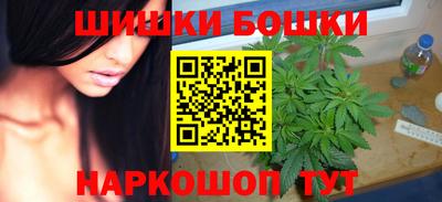крисы Партизанск