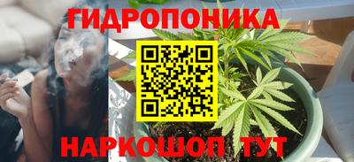 крисы Партизанск