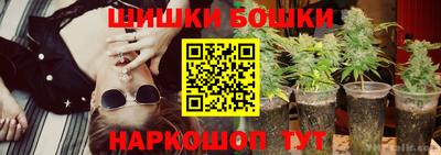 крисы Партизанск