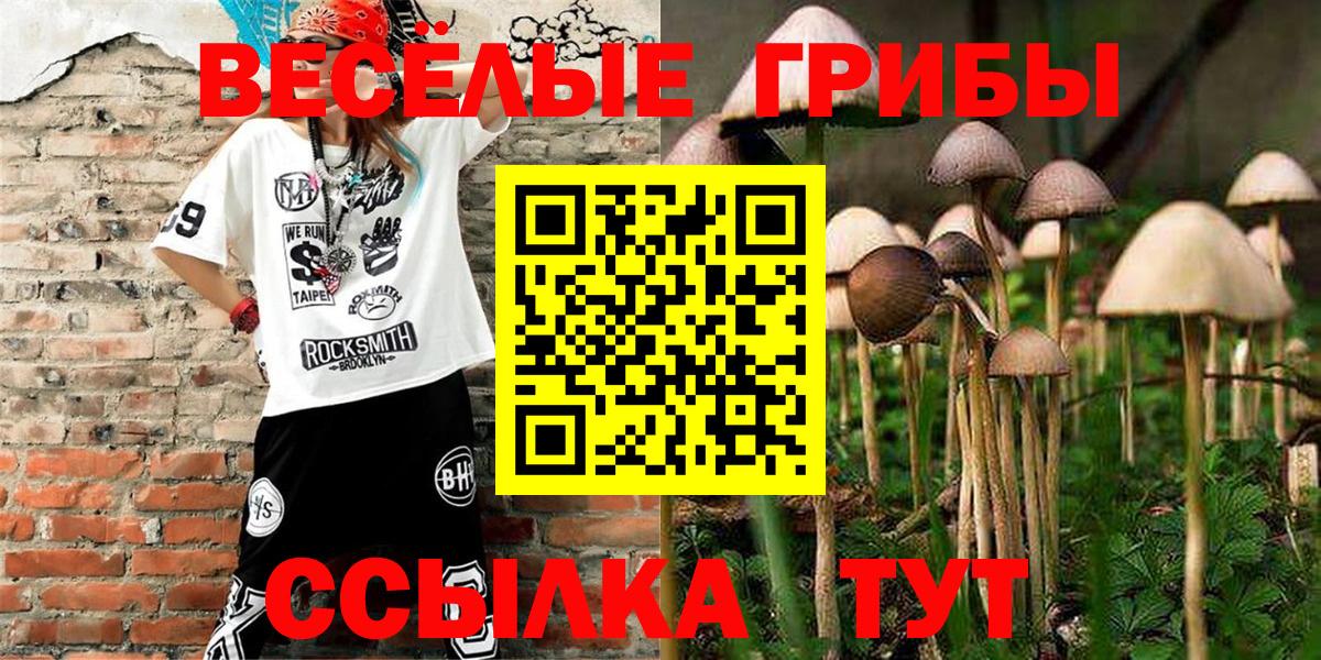 Псилоцибиновые грибы мухоморы  Вход с VPN  Новокуйбышевск  Галлюциногенные грибы мицелий 